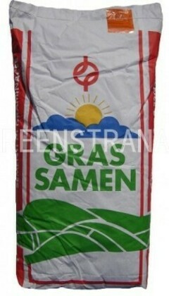 Райграс многолетний Темпрано (Lolium perenne 'Temprano')