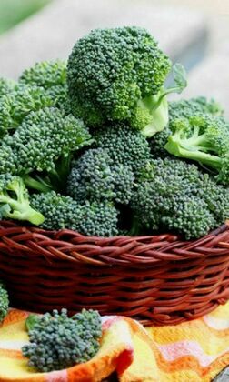 Капуста брокколи Фортуна (Brassica oleracea var. italica 'Fortuna')