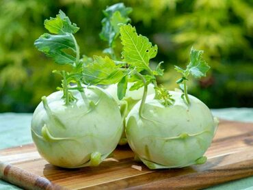 Капуста кольраби Ницца (Brassica oleracea var. gongylodes 'Nitstsa')