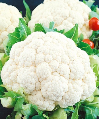 Капуста цветная Сноуболл (Brassica oleracea var. botrytis 'Snowball')