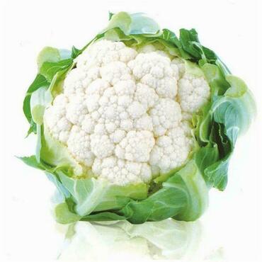 Капуста цветная Уайт Эксел (Brassica oleracea var. botrytis 'White Excel')