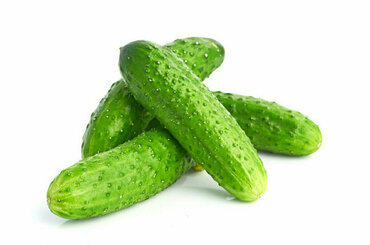 Огурец (Cucumis sativus)