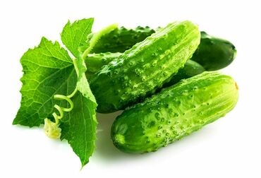 Огурец Веселая компания (Cucumis sativus 'Veselaya Kompaniya')