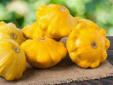 Патиссон Лемон Сан (Cucurbita pepo var. clypeata 'Lemon Sun')