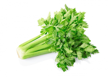 Сельдерей (Apium graveolens)